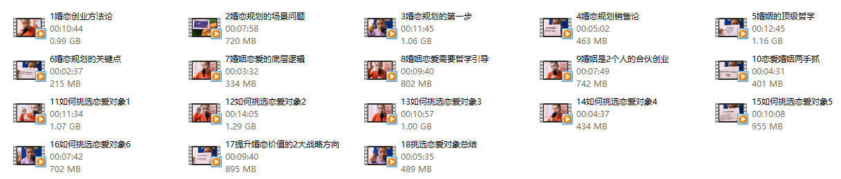 杨平婚恋规划课一阶段《选夫术》