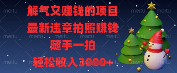 解气又挣钱的项目，最新违章拍照挣钱，随手一拍，轻松收入数张