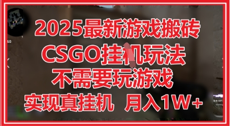 2025最新游戏搬砖，CSGO挂G，不需要玩游戏，实现真挂G，月入1W+