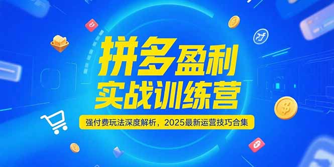 （15183期）拼多多盈利实战训练营，强付费玩法深度解析，2025最新运营技巧合集