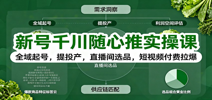 新号千川随心推实操课:全域起号,提投产,直播间选品,短视频付费拉爆