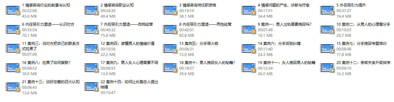久久情感师资计划：培养情感咨询师【22节】