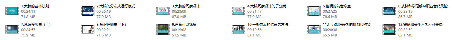 琳子博士《脑科学顶层思维课》12节持续更新