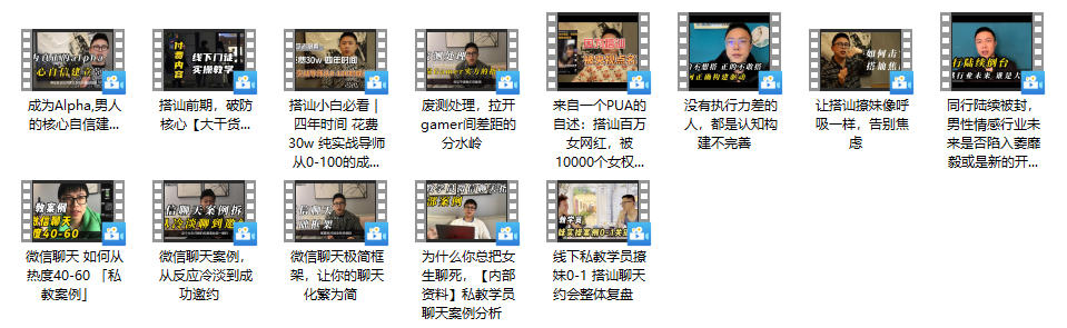 Leon系列《理论Rst-Leon-Rst Leon》13集