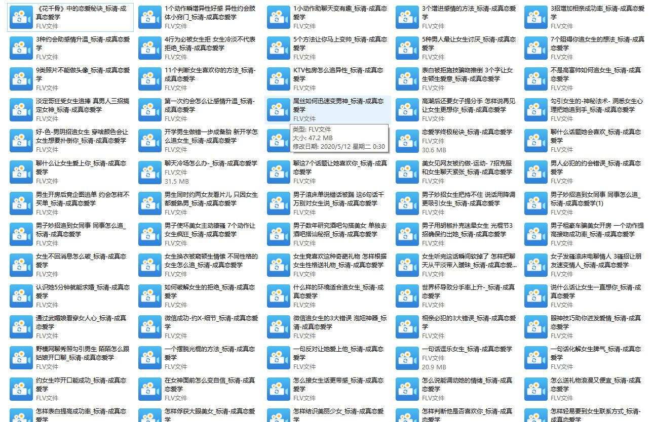 成真恋爱学教程全集