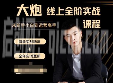 大炮电商-拼多多全阶实战课程2026年1月18日更新