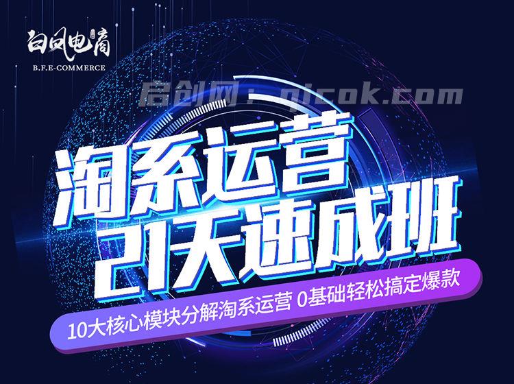 白凤电商-淘系运营21天速成班2026年3月更新(价值4999元)