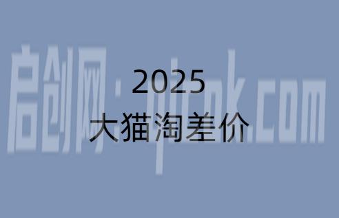 2025版大猫淘差价课程无货源电商2026年4月11日(价值3980元)