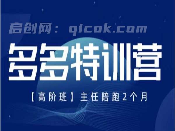 纪主任-多多特训营2026年3月27更新(价值5288元)
