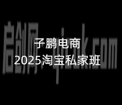 子鹏讲电商-淘宝私家班26年4月18更新(价值4980元)