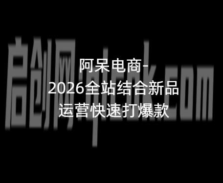 阿呆电商-2026全站结合新品运营快速打爆款5月12日更新