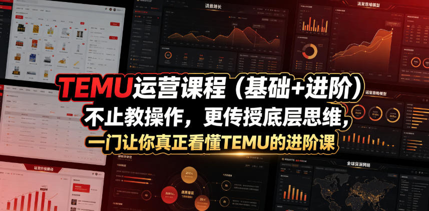 TEMU运营课程(基础+进阶)，不止教操作，更传授底层思维，一门让你真正看懂TEMU的进阶课