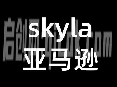 skyla讲亚马逊跨境电商26年6月7更新(价值4980元)