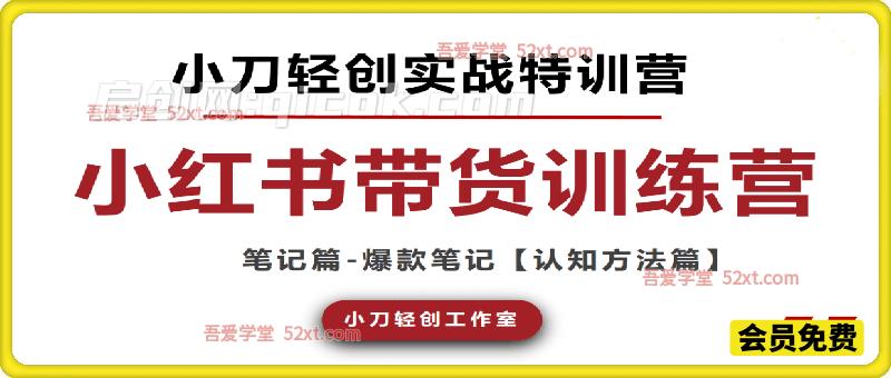 小红书电商技能提升系统课，全流程拆解平台最新玩法，帮你快速搭建可复制的盈利体系。
