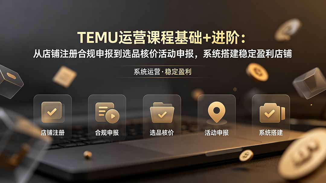 TEMU运营课程(基础+进阶