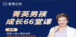 白大姐菁英男孩成长在线视频课66堂-亲子教育