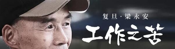 复旦梁永安：工作之苦-个人发展