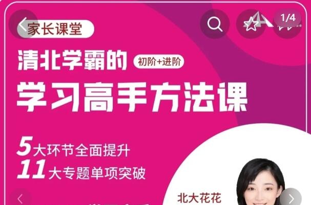 北大花花-学习高手方法课（初阶+进阶）139节课-学习窍门