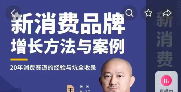 王岑：新消费品牌增长方法与案例（爆款视频课）_王岑3.0-品牌营销