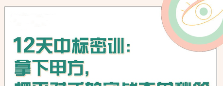 【张金洋】12天中标密训—拿下大单，摆平对手的实战夺单秘笈-销售技巧