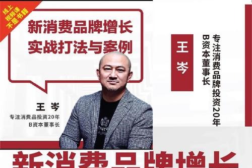 王岑讲新消费品牌增长实战打法与案例-品牌营销