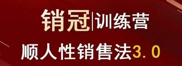 爆款！销冠训练营3.0之顺人性销售法，全方位解决销售难题、可落地、可执行、有结果-销售技巧