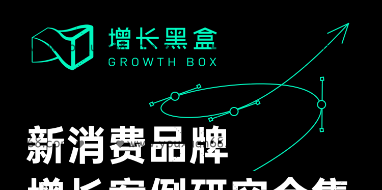 增长黑盒新消费品牌增长案例研究合集-品牌营销