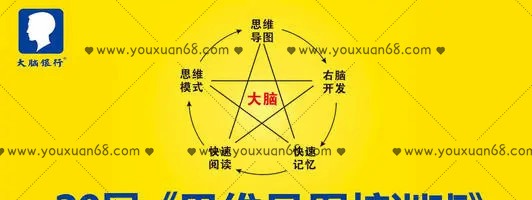 苏引华《2019思维导图》（108集）视频-学习窍门