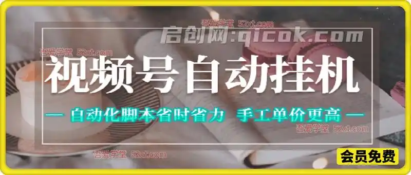 视频号自动挂机，自动化脚本省时省力，手工任务单价更高-智点网