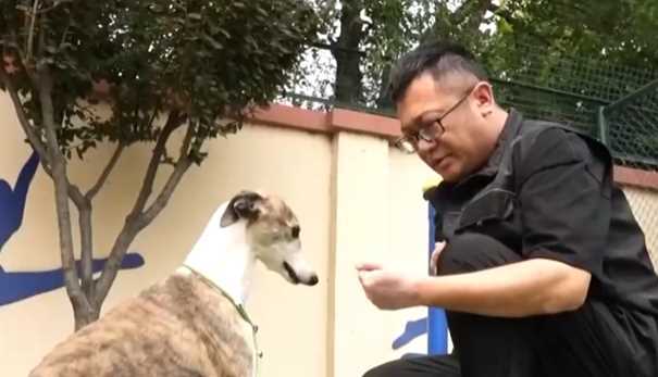 新消费业态催生新需求 一批职业“上新”为美好生活注入新活力