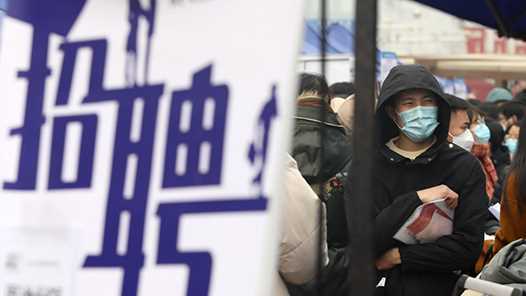 河北:2026年公共就业招聘专项活动安排出炉