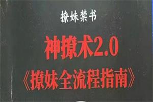 欧阳浮夸《神撩术1.0+神撩术2.0》