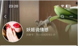 2025新课《妖姬说情感》全套