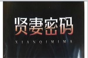 乌鸦救赎《贤妻密码》PDF电子版