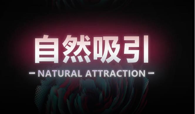 瑞恩10节高级情感课《自然吸引》百度云下载【091503】