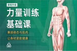 一介粗人x麦大湿《男性力量训练课程》