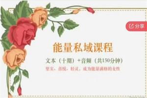花痴女巫《能量私域课程》